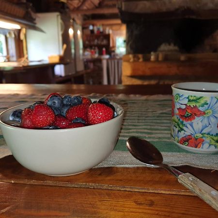 Anni Tourism Farm Villa Tammese Bagian luar foto