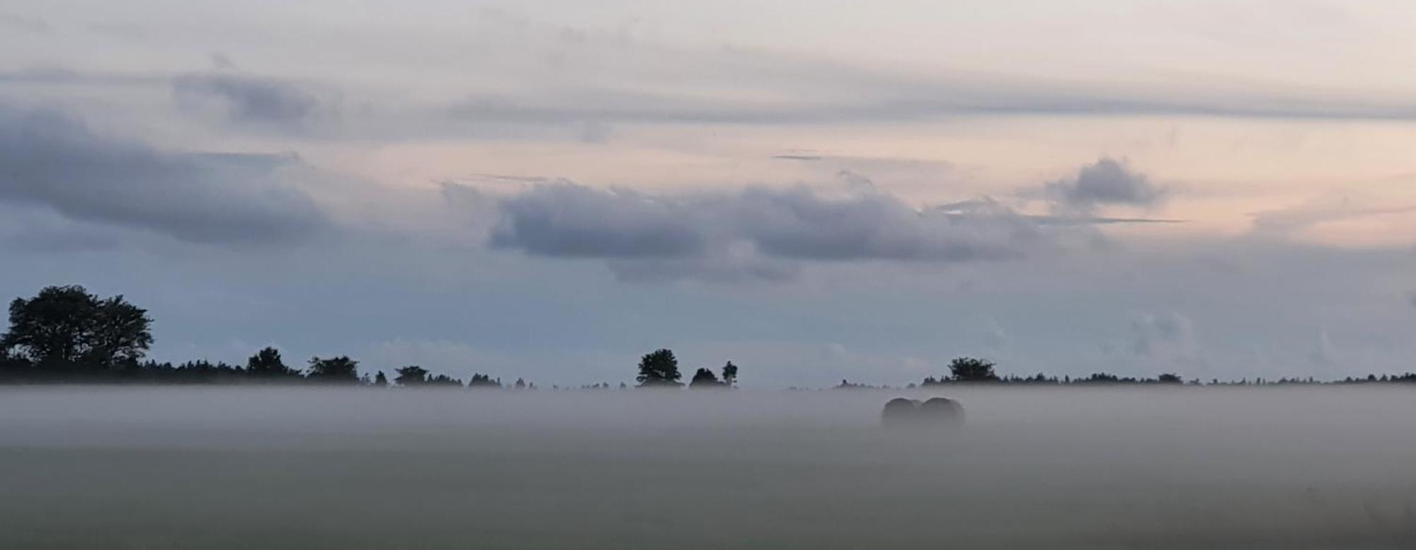 Anni Tourism Farm Villa Tammese Bagian luar foto