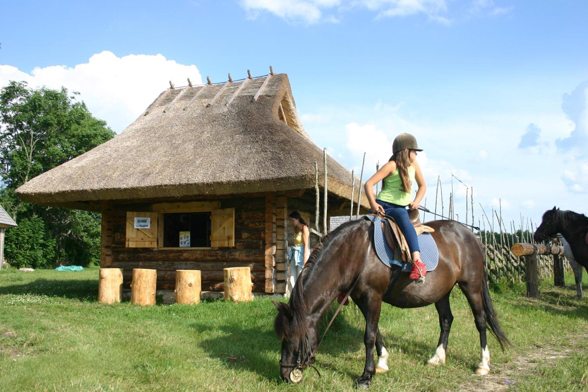 Anni Tourism Farm Villa Tammese Bagian luar foto