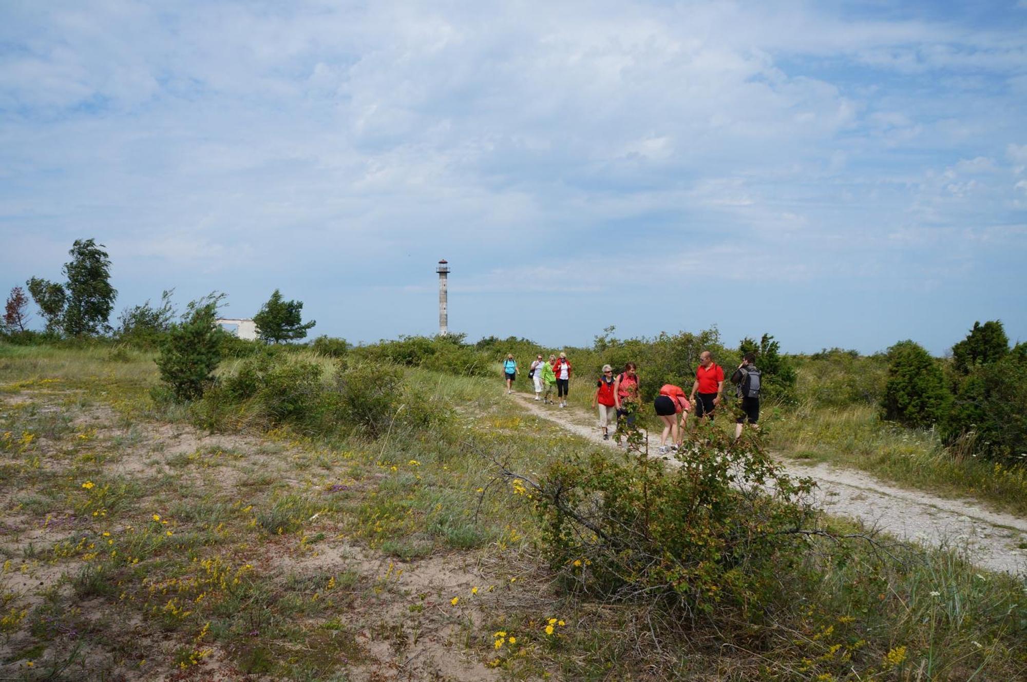 Anni Tourism Farm Villa Tammese Bagian luar foto