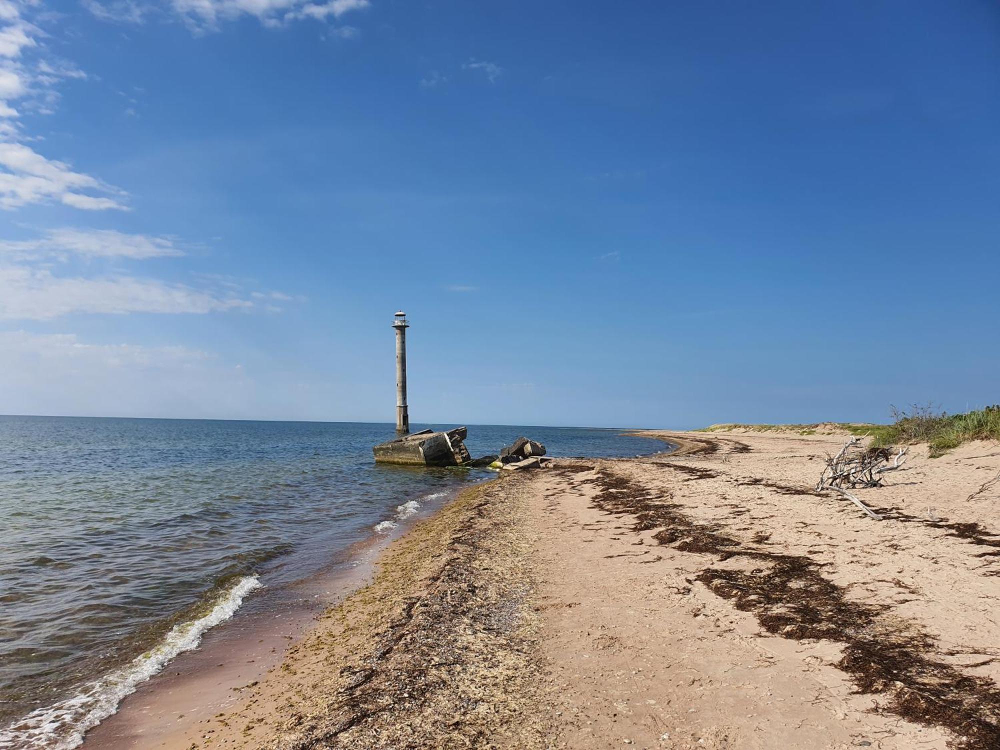 Anni Tourism Farm Villa Tammese Bagian luar foto