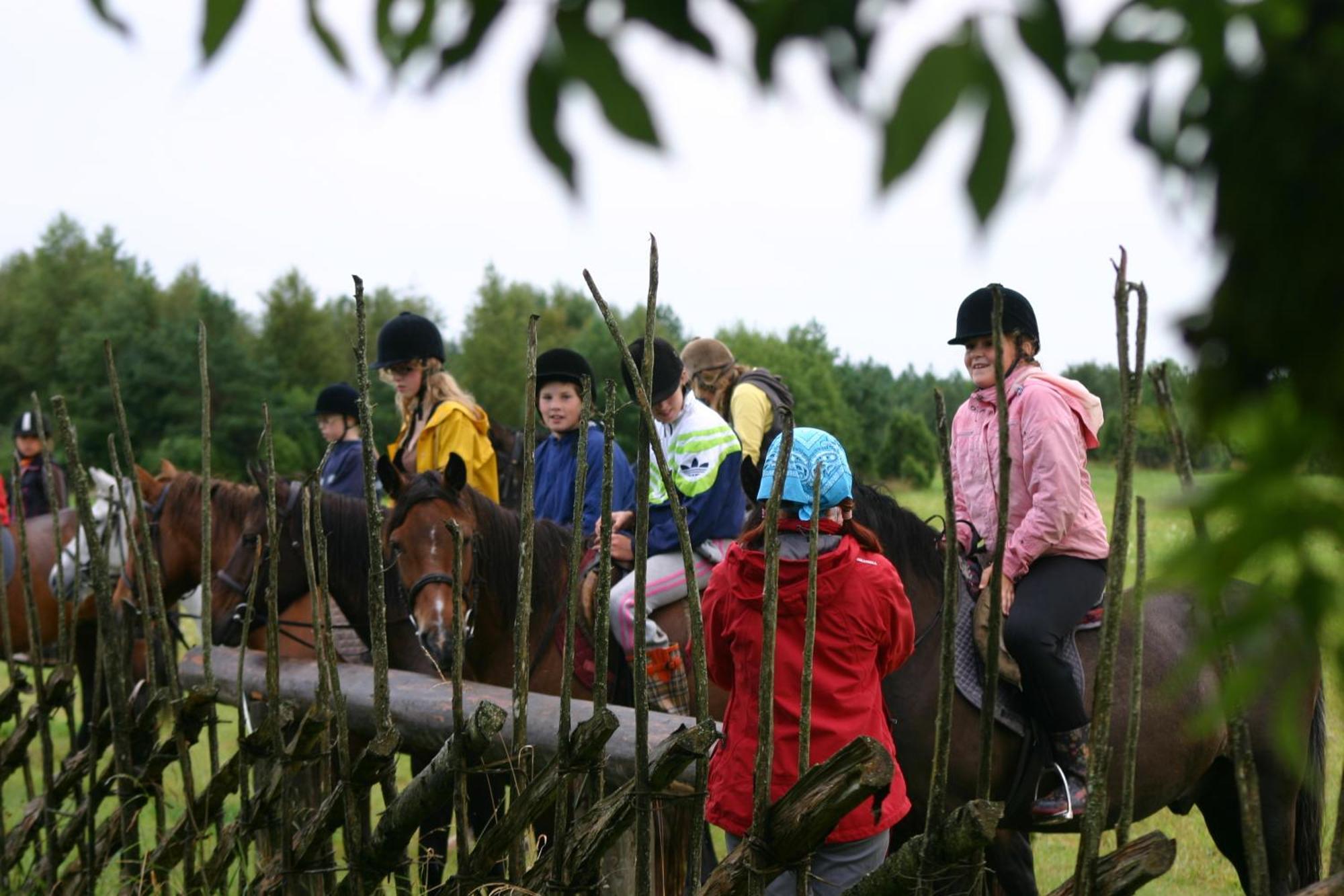 Anni Tourism Farm Villa Tammese Bagian luar foto