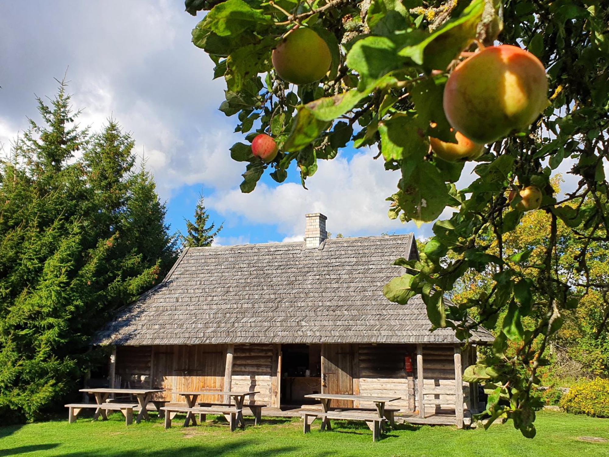 Anni Tourism Farm Villa Tammese Bagian luar foto